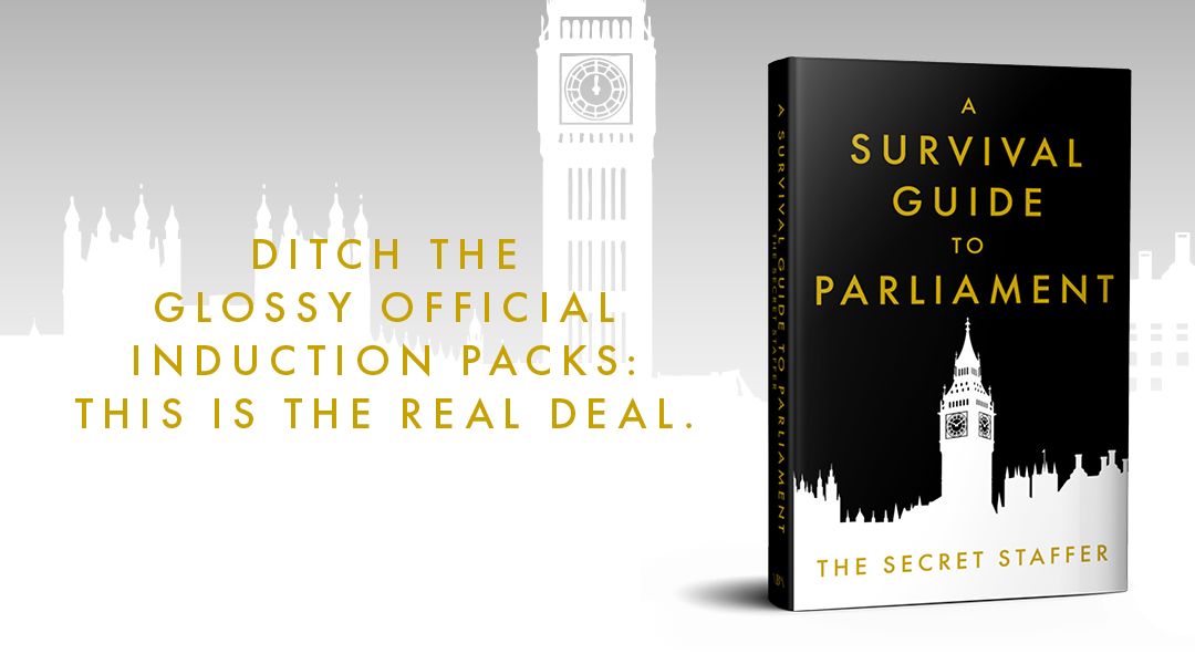 Asurvivalguidetoparliament homepagecarousel 1080x600