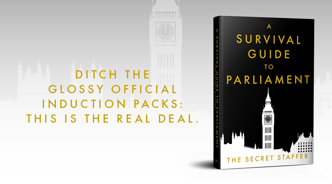 A survival guide to parliament social assets website