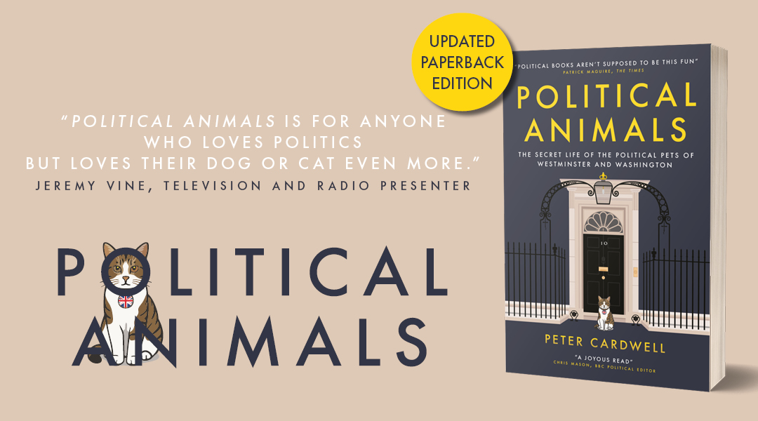 Political animals marketing assets website banner